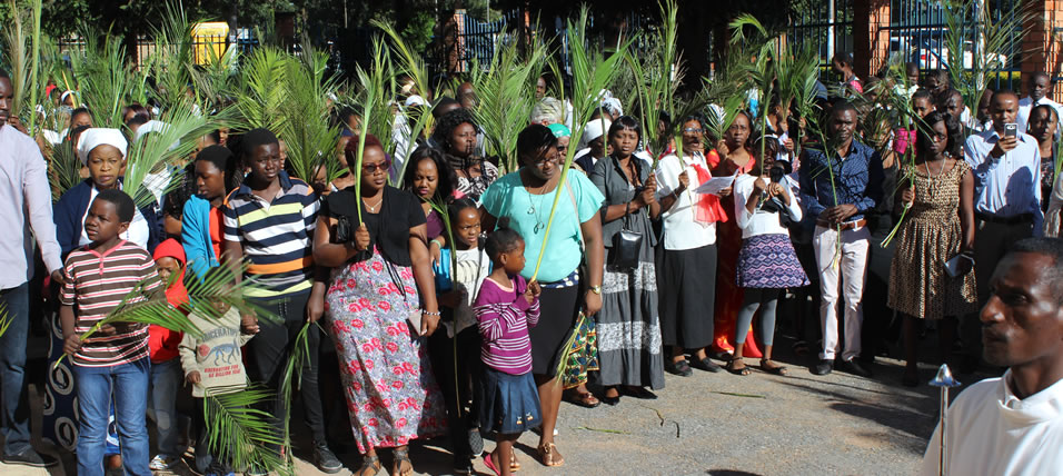 Palm Sunday- Cathedral