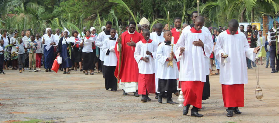 Palm Sunday Celebration-[ in Pictures]
