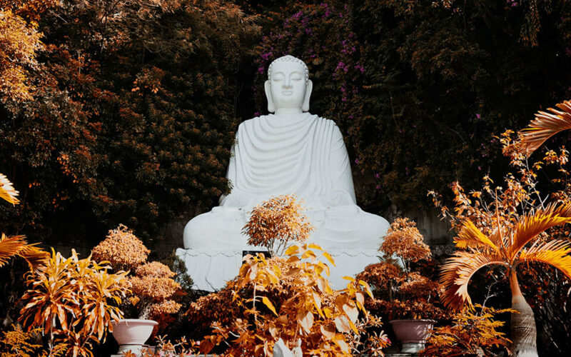 Buddhist Monk Preach