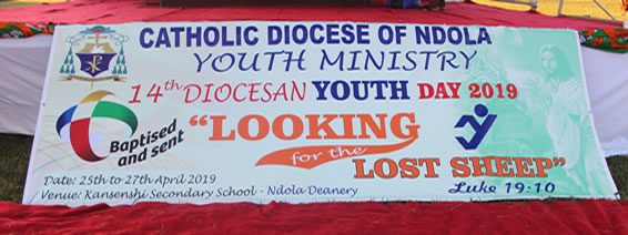 14th Edition of diocesan youth day-[In Pictures]