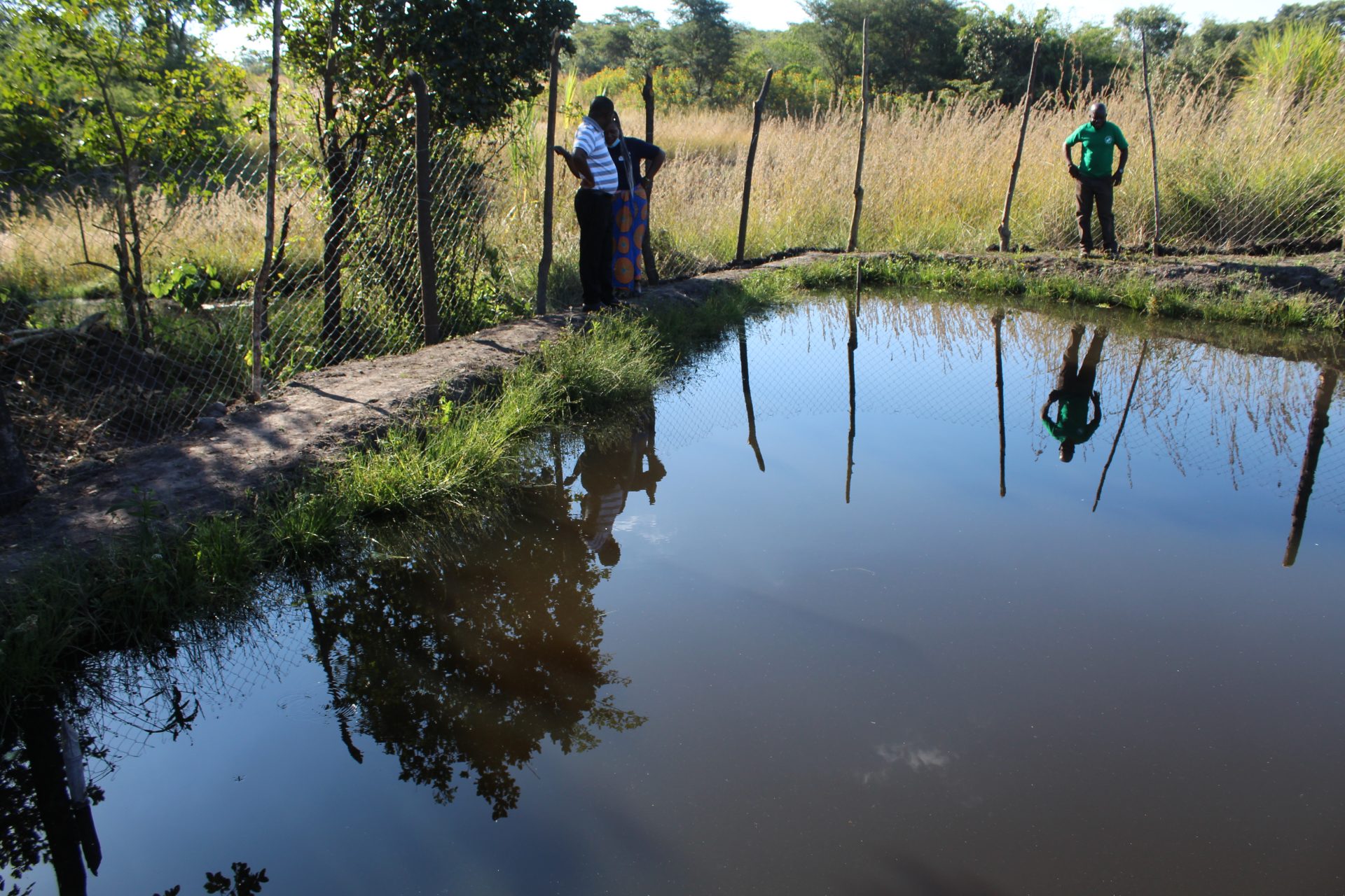 Monitoring Visit to Fish Farming Associations in Kakalo- Chingola