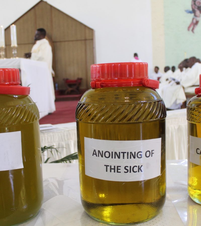 Chrism Mass and Priests Pilgrimage.