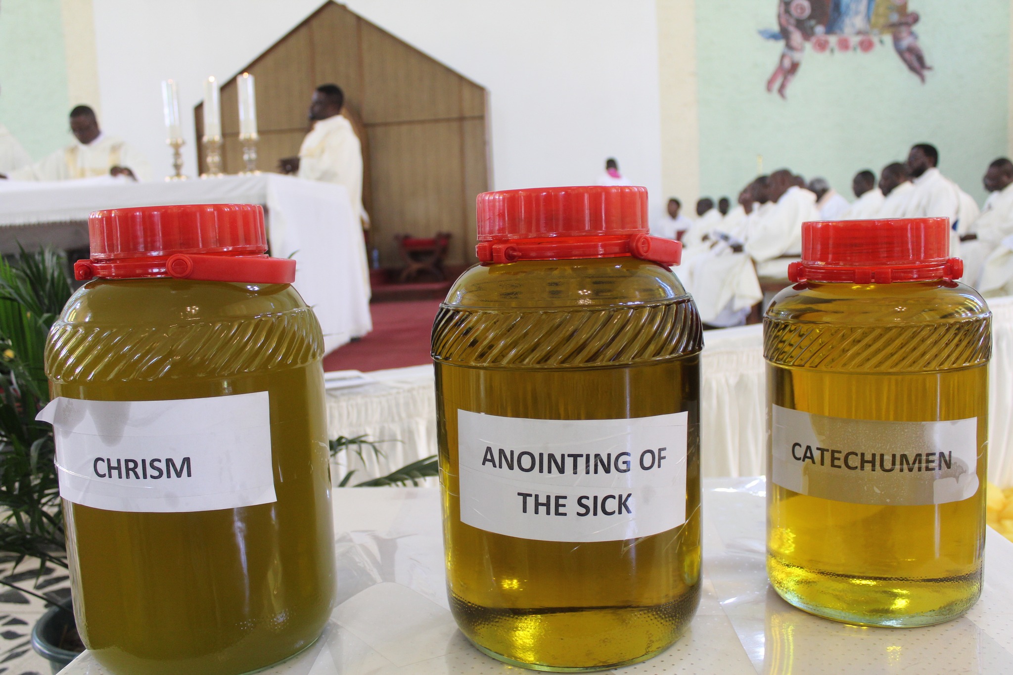 Chrism Mass and Priests Pilgrimage.