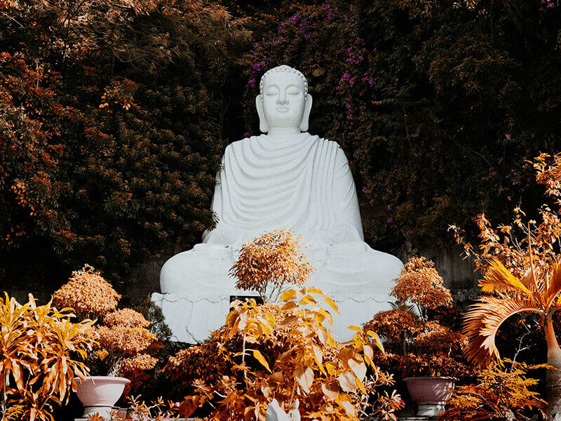 Buddhist Monk Preach